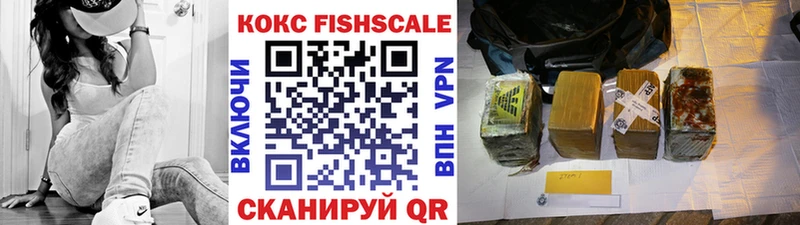 Купить закладки  Елизово  Кокаин Эквадор 