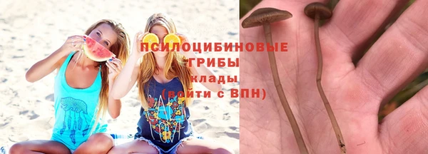spice Зеленодольск
