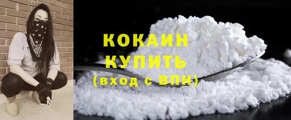 PSILOCYBIN Зерноград