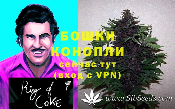 PSILOCYBIN Зерноград