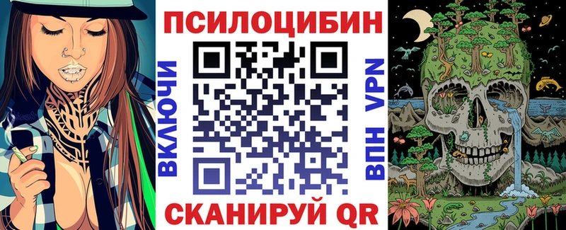 Галлюциногенные грибы ЛСД  Купить закладки  Елизово 